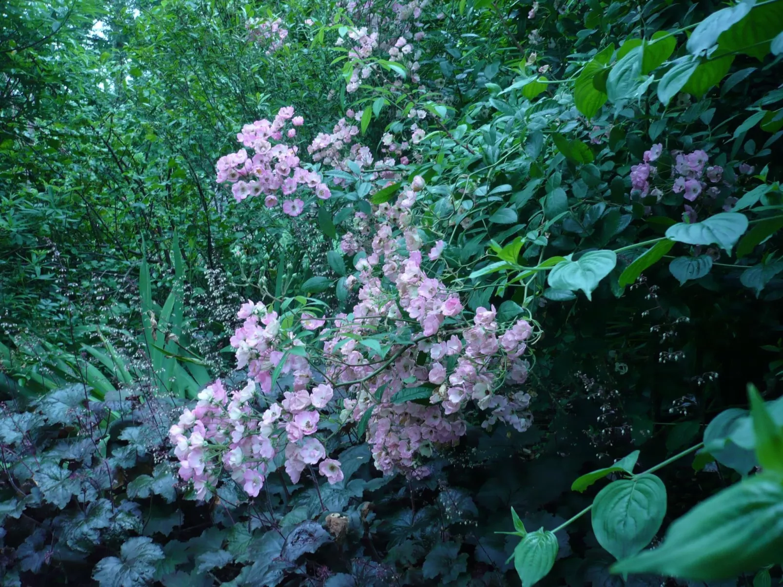 Haus freistehend Sonne Bett 160cm Patio billig-Inside