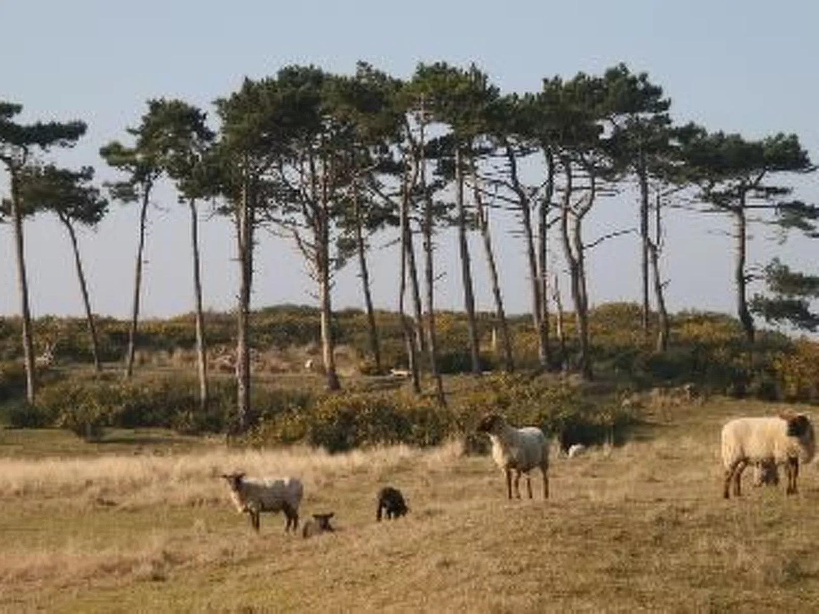 "8883" in Strandnähe-Outside