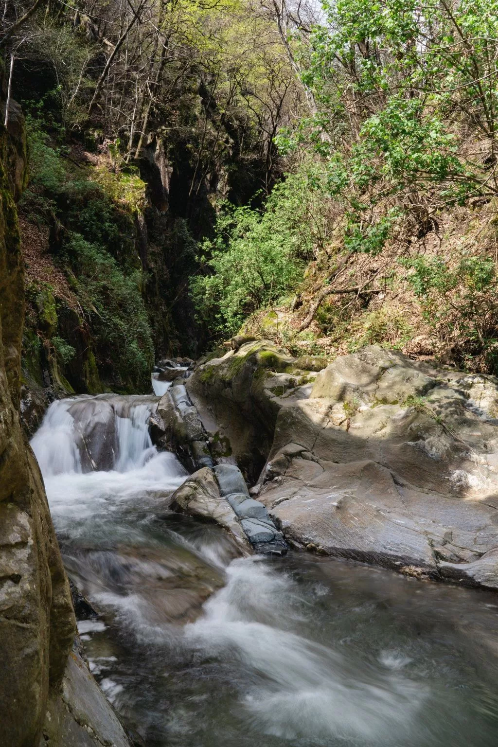 "Palazzo Branca" mit Blick auf den See.-Image-tags.info