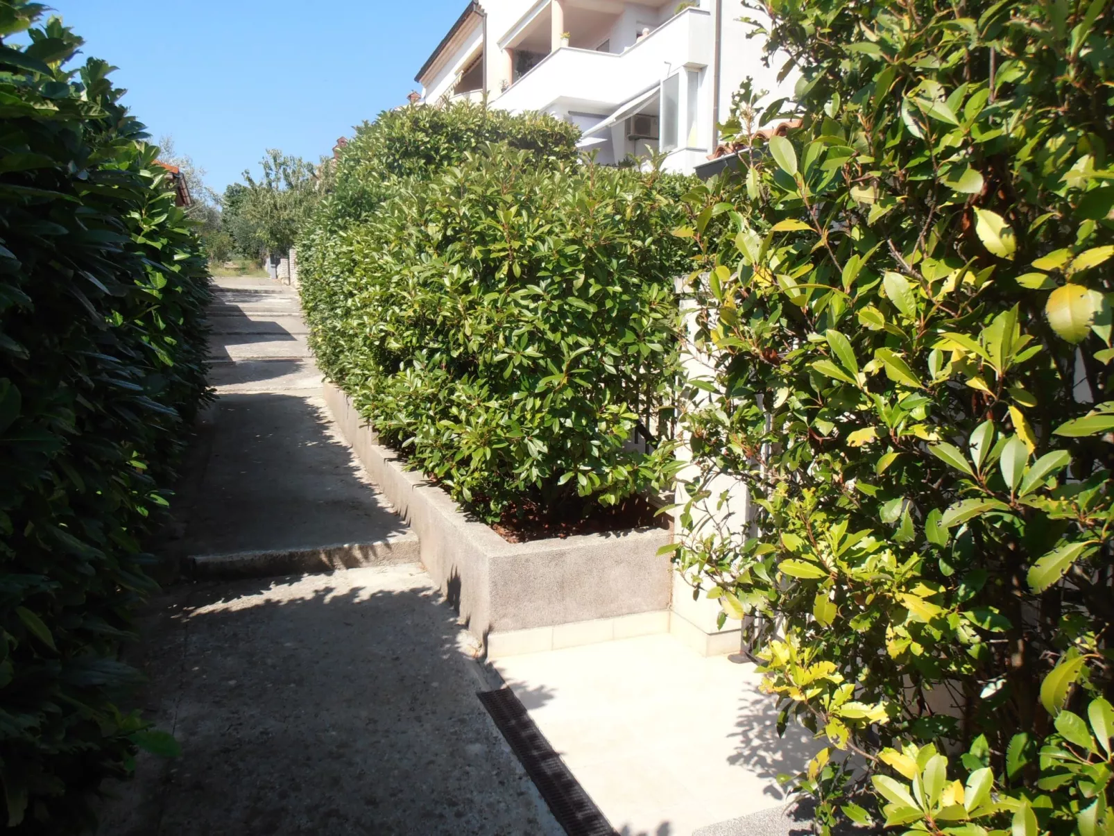 "Ines 1"-Image-tags.info