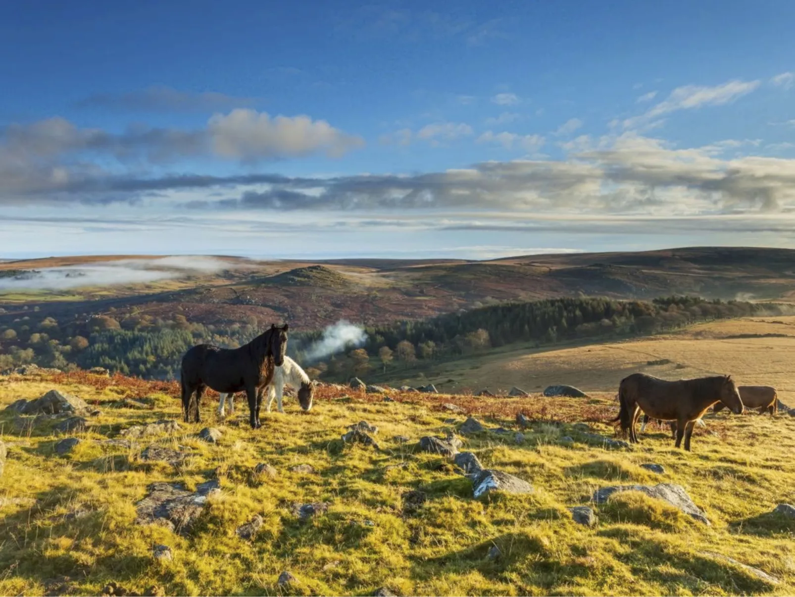 Gemütliches Familienhaus am Meer-Dehors