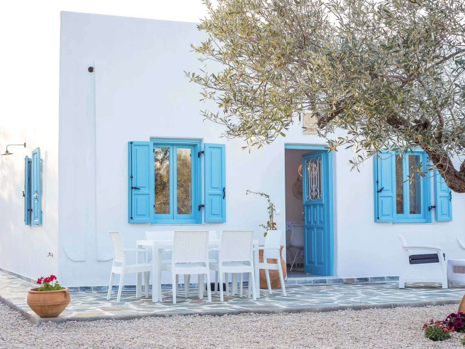 Kalathos Dream - Weißer Traum-Dehors