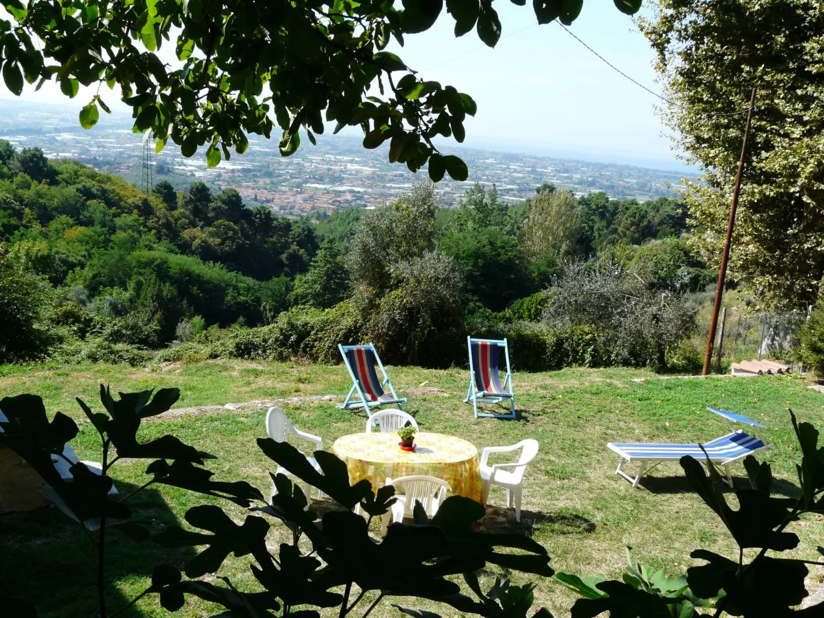 'Graceland' mit Garten und Terrasse-Outside