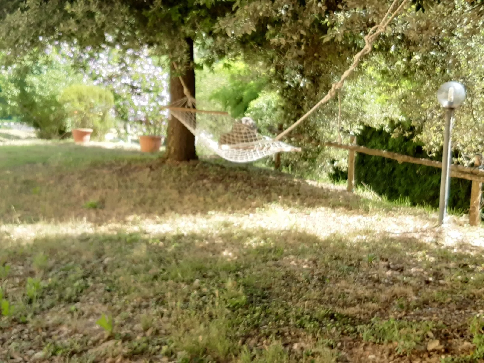 Ortensia-Image-tags.info