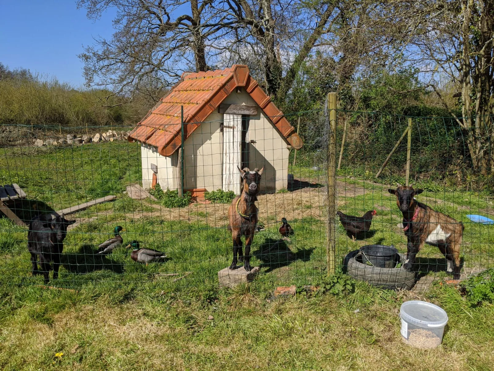 Estate "Le Pressoir" (Die Kelterei)-Dehors