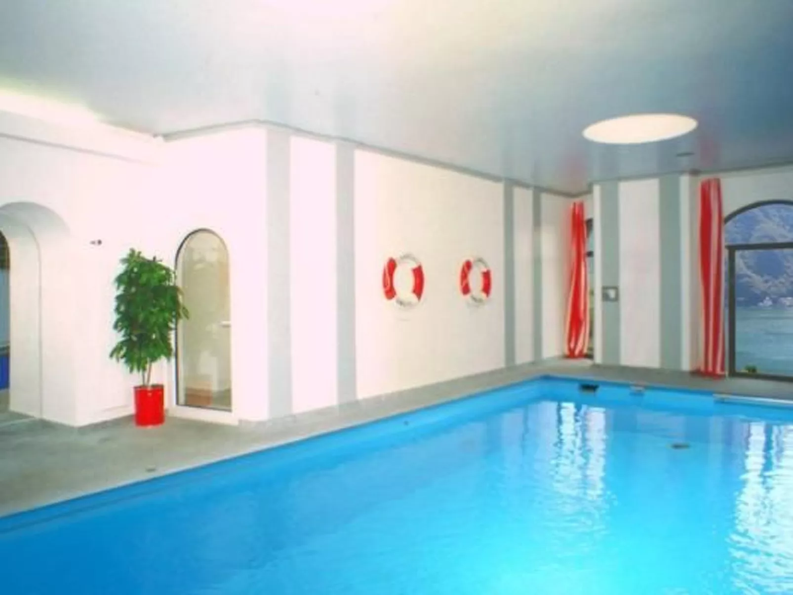 Olive-Image-tags.info