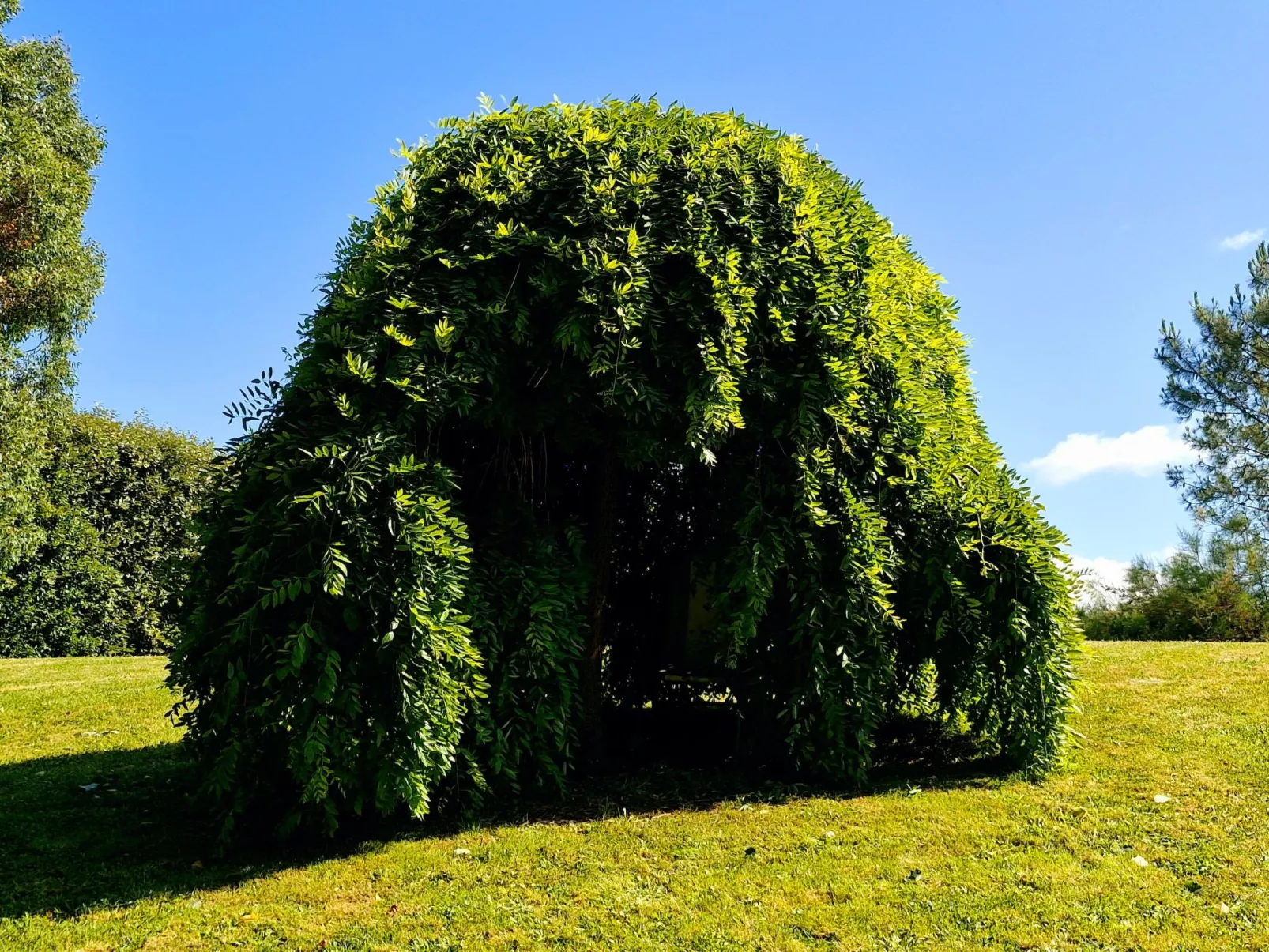 Le domaine des roseraies, Unterkunft Maupassant-Outside