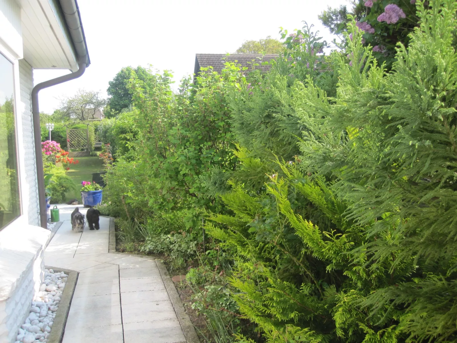 Landhaus am See-Outside