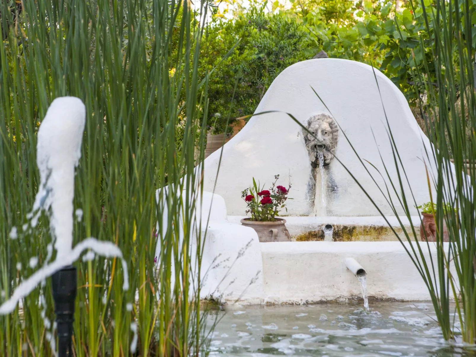 Hütte mit eigenem Garten und Grill-Image-tags.info