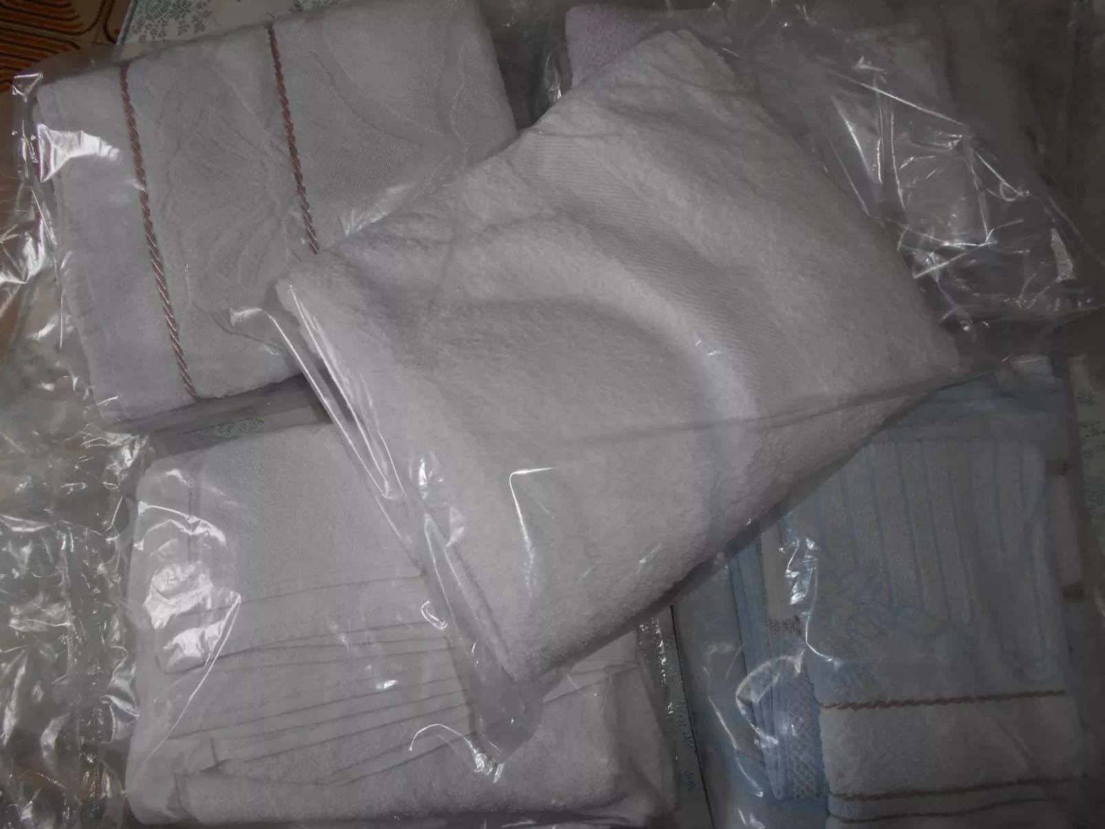 Haus der Schmetterlinge in Syrakus-Inside