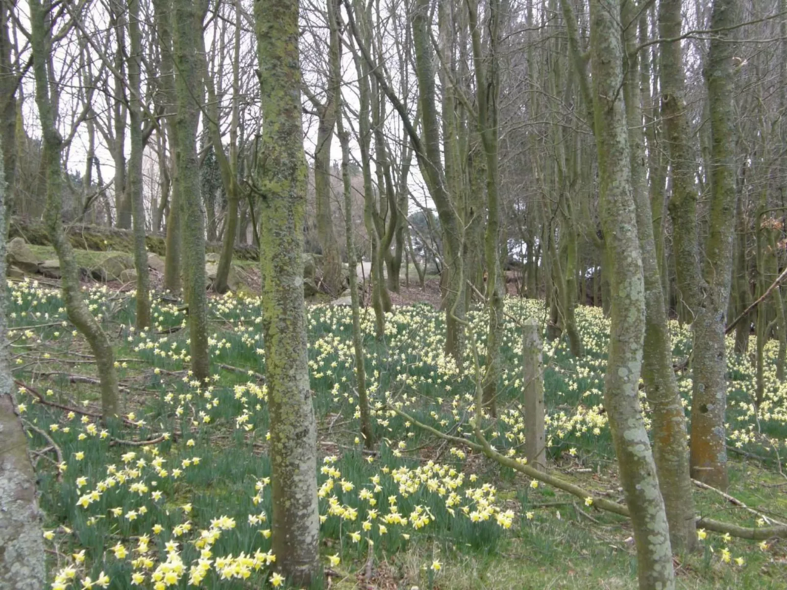 "Tromeal Lasalle" blick auf das Meer. Mit 4 Sternen klassifiziert-Outside