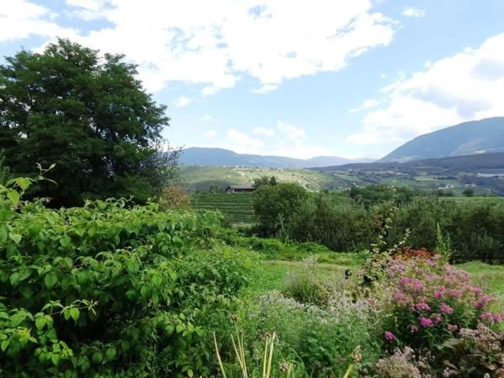 Mit Terrasse auf einem Bauernhof-Draußen