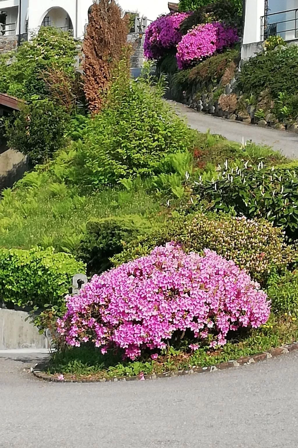 Residenza Viramonte - Casa Fiona, Wohnung 52 - Draußen