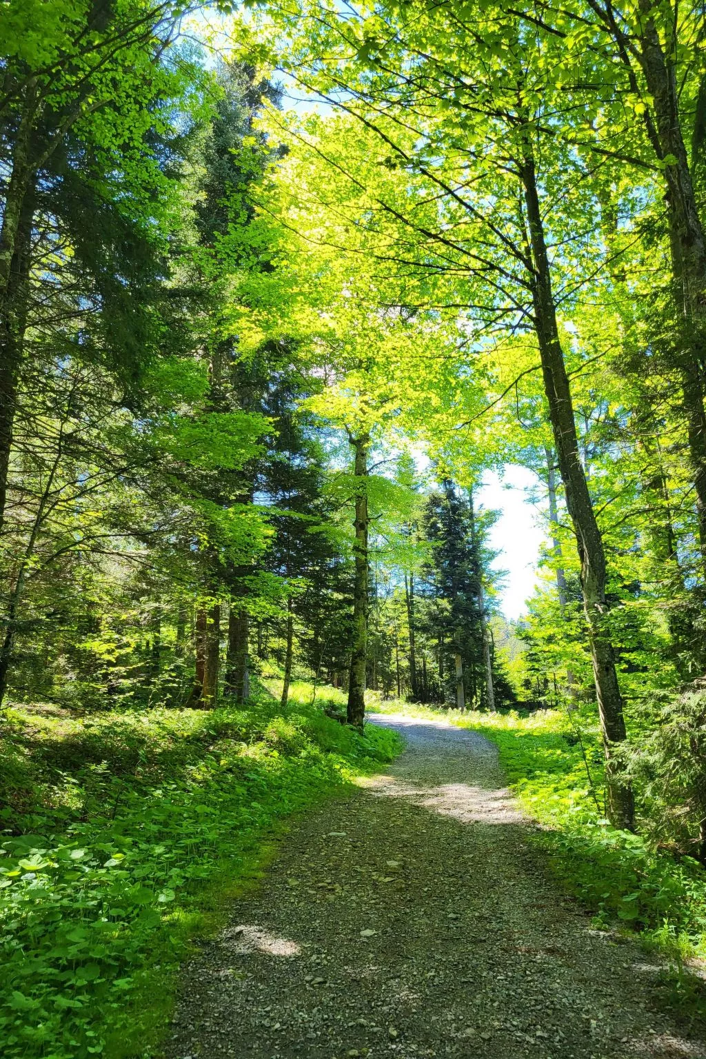 Fewo Pistenblick-Dehors