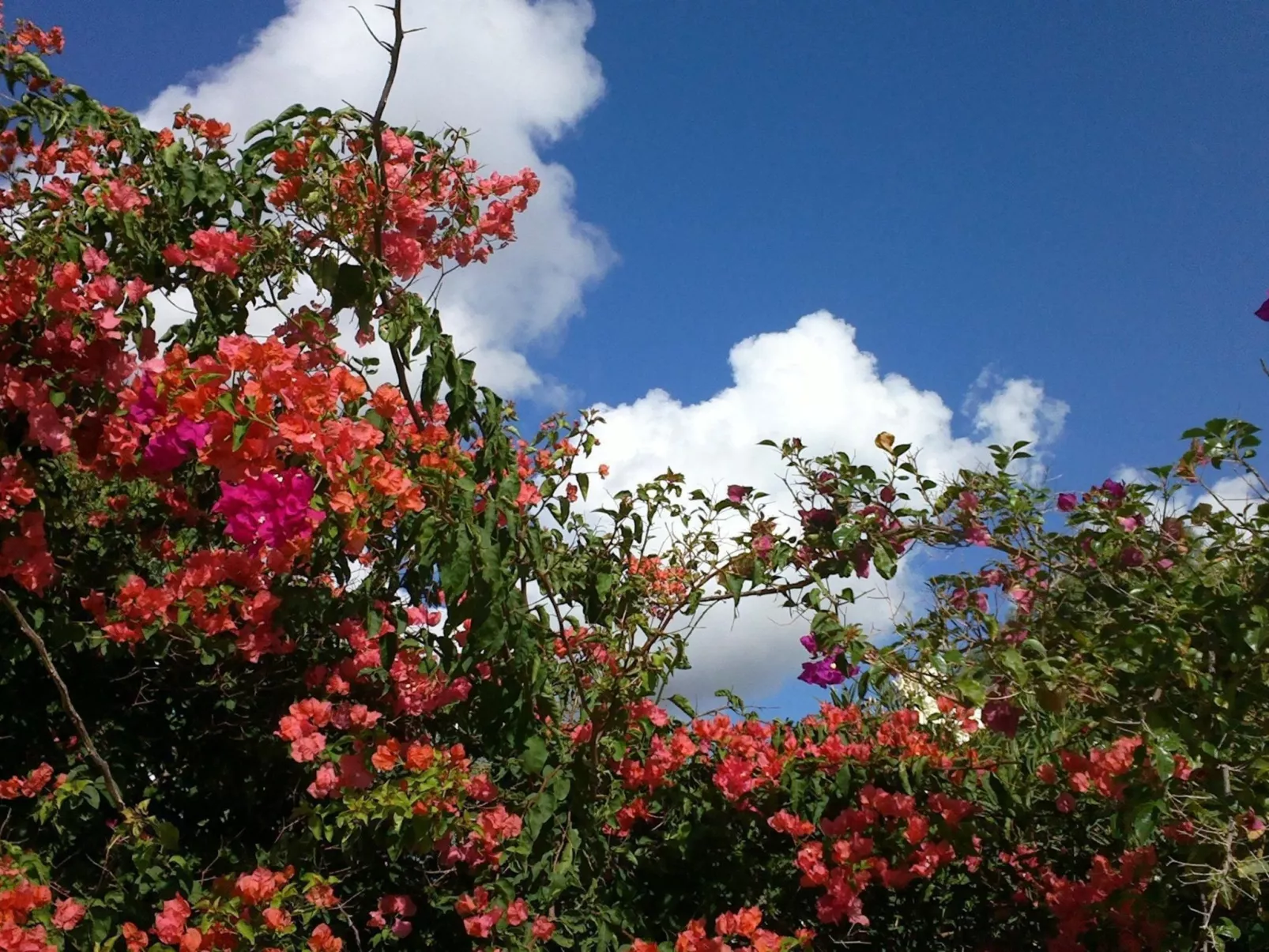 Steinhaus mit Panoramadachterrasse-Drinnen