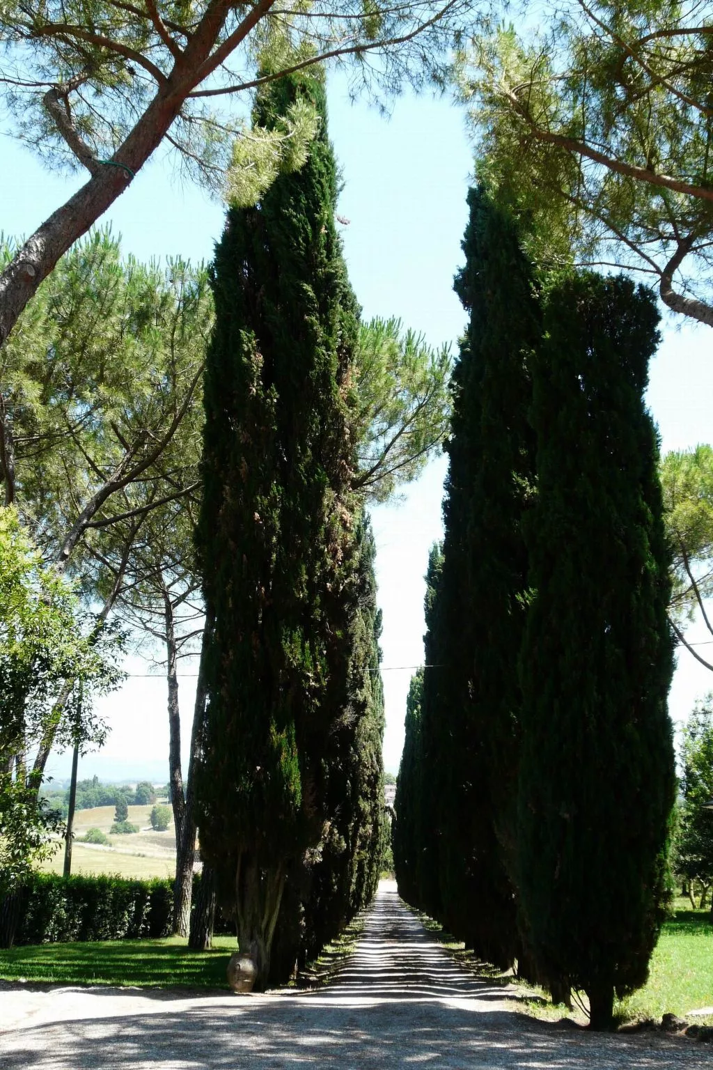 Wohnung 'Santinovo Camino-Outside