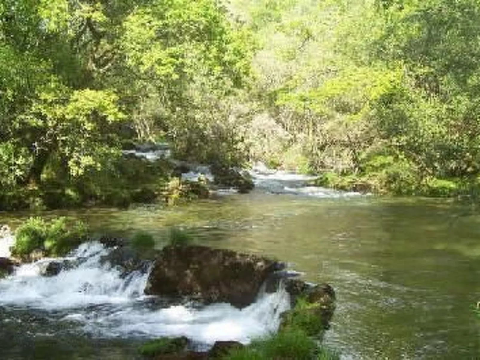 Finca "Casa do Portomartiño"-Outside
