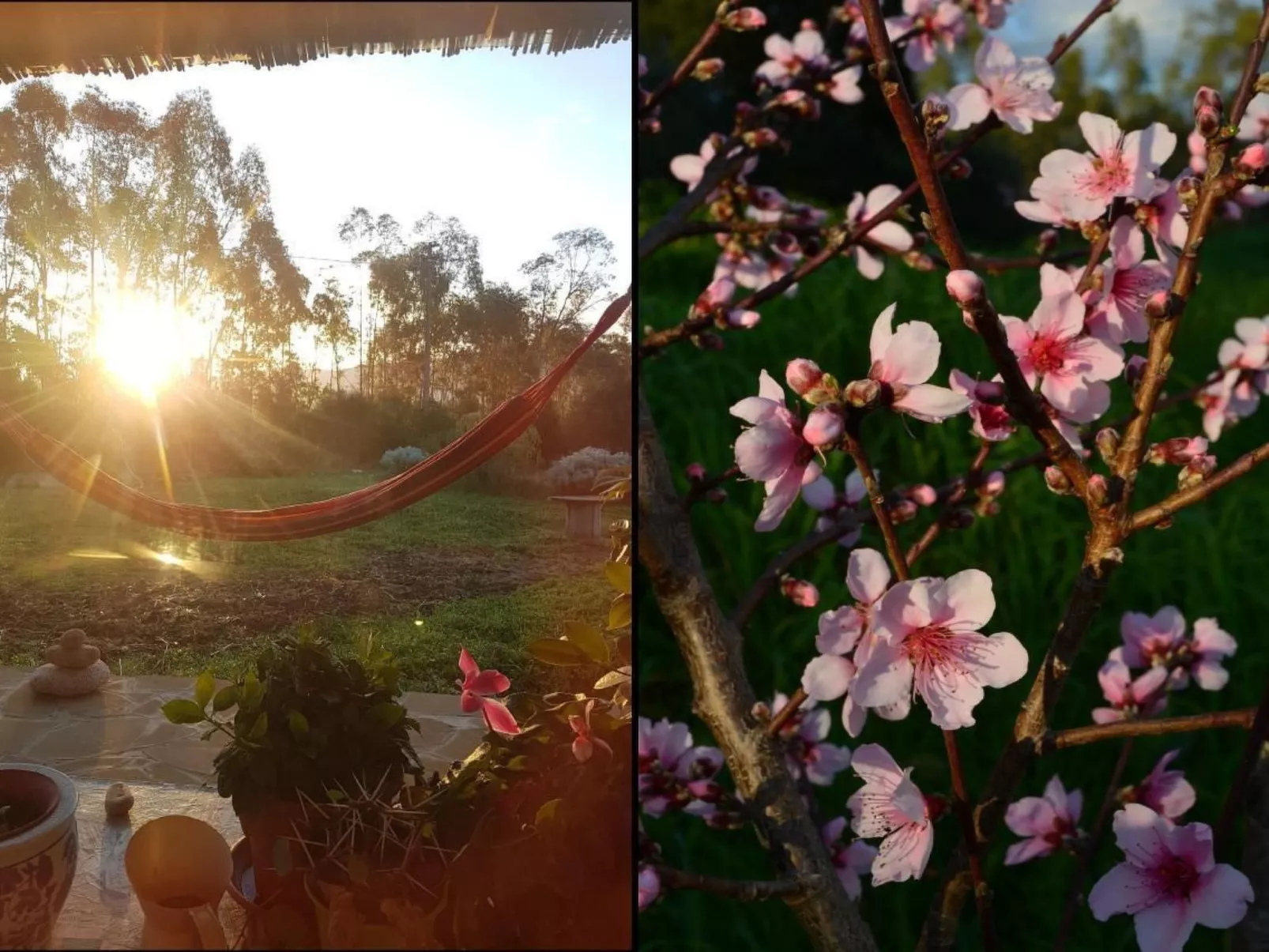 Su Sole de Barega-Image-tags.info