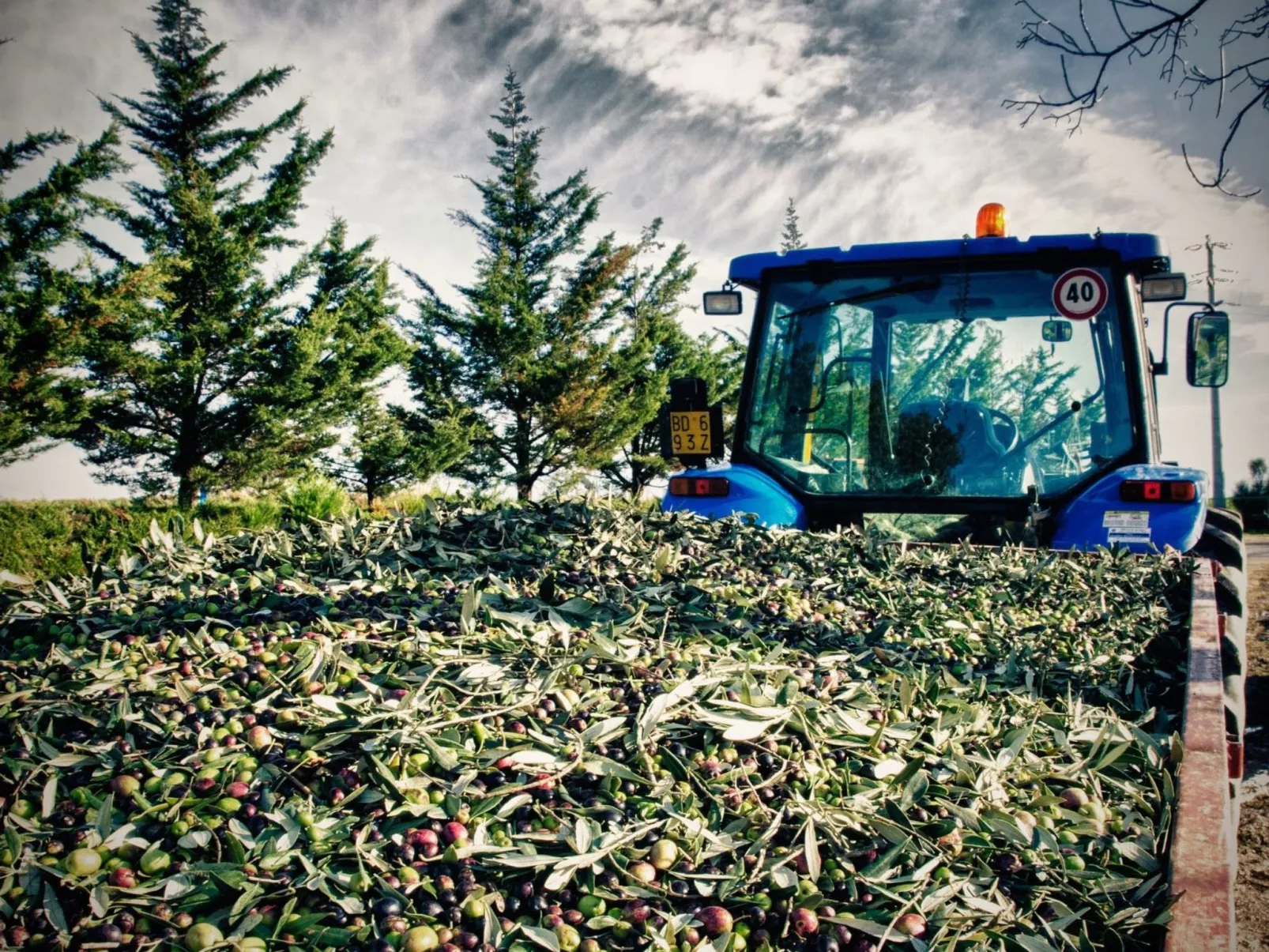 Il Melograno Panoramahaus-Image-tags.info