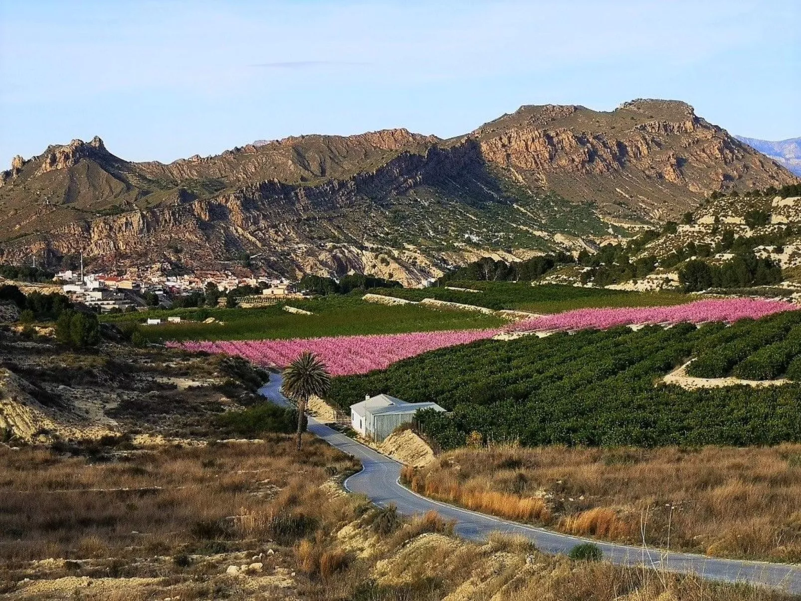 Domicilio de Vida-Draußen