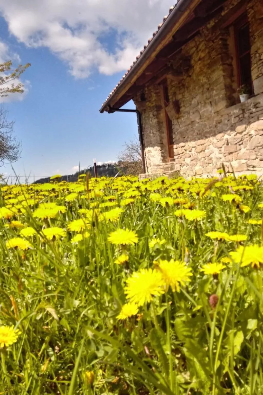 Piccola casa romantica-Draußen