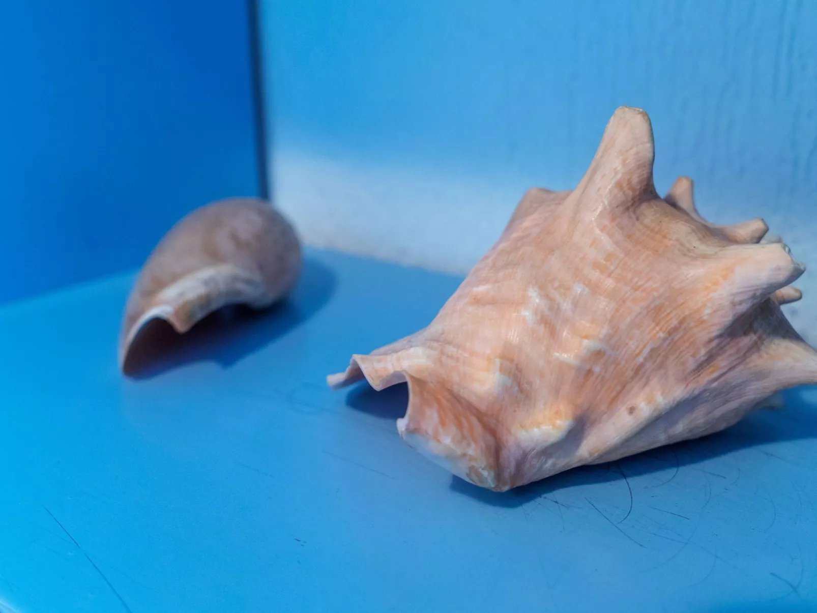 Mit Meerblick-Inside