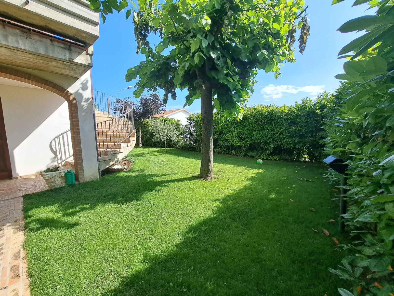 "Daphne Experience".-Outside