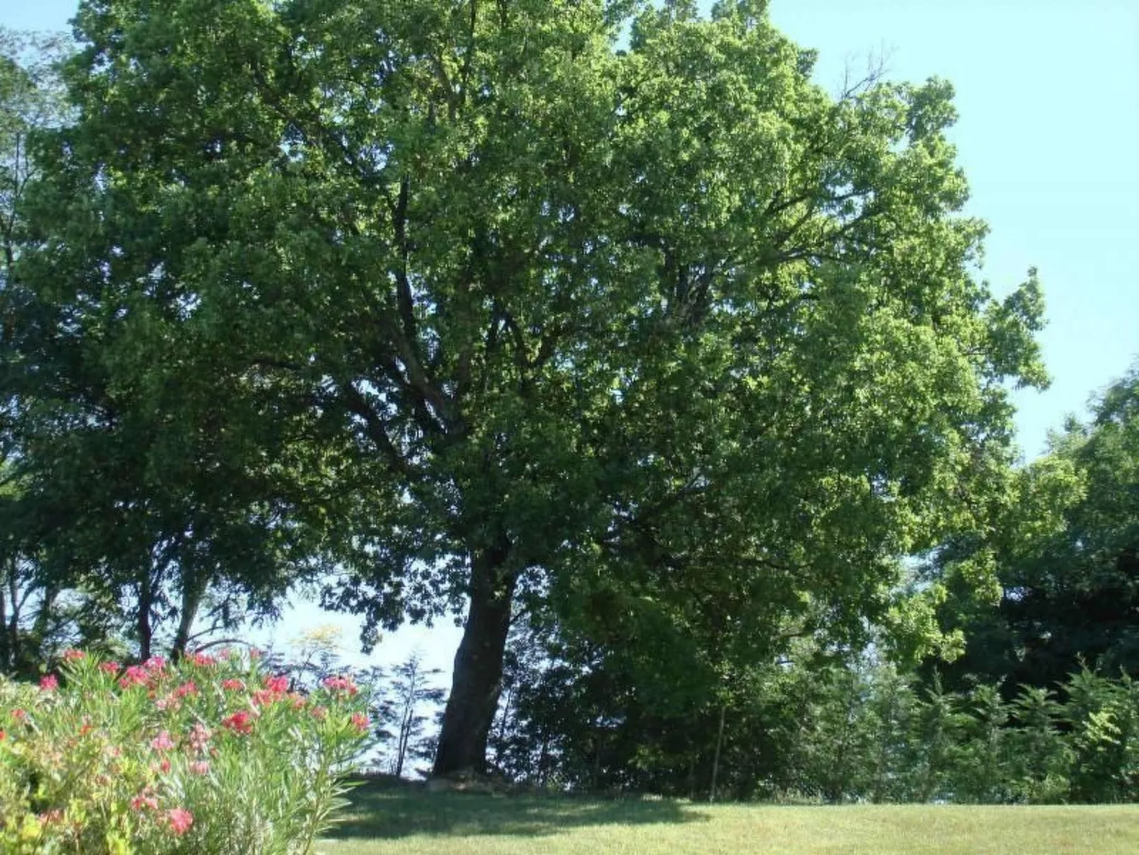 Charmante Lösung, Schwimmbad 10 Minuten vom Meer entfernt-Dehors