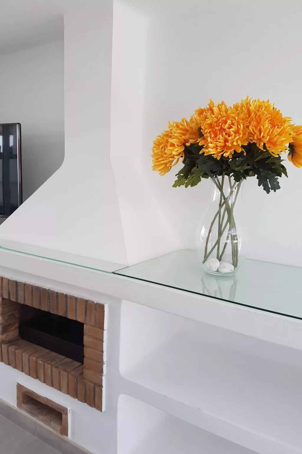 Widder vor dem Meer-Draußen