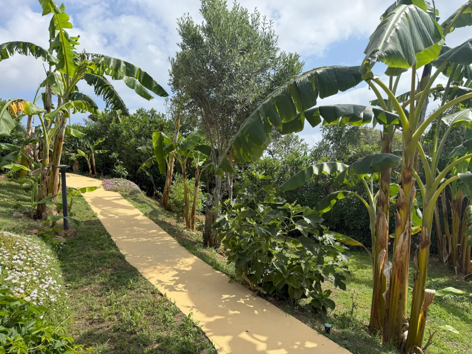 Villa in Banani-Outside