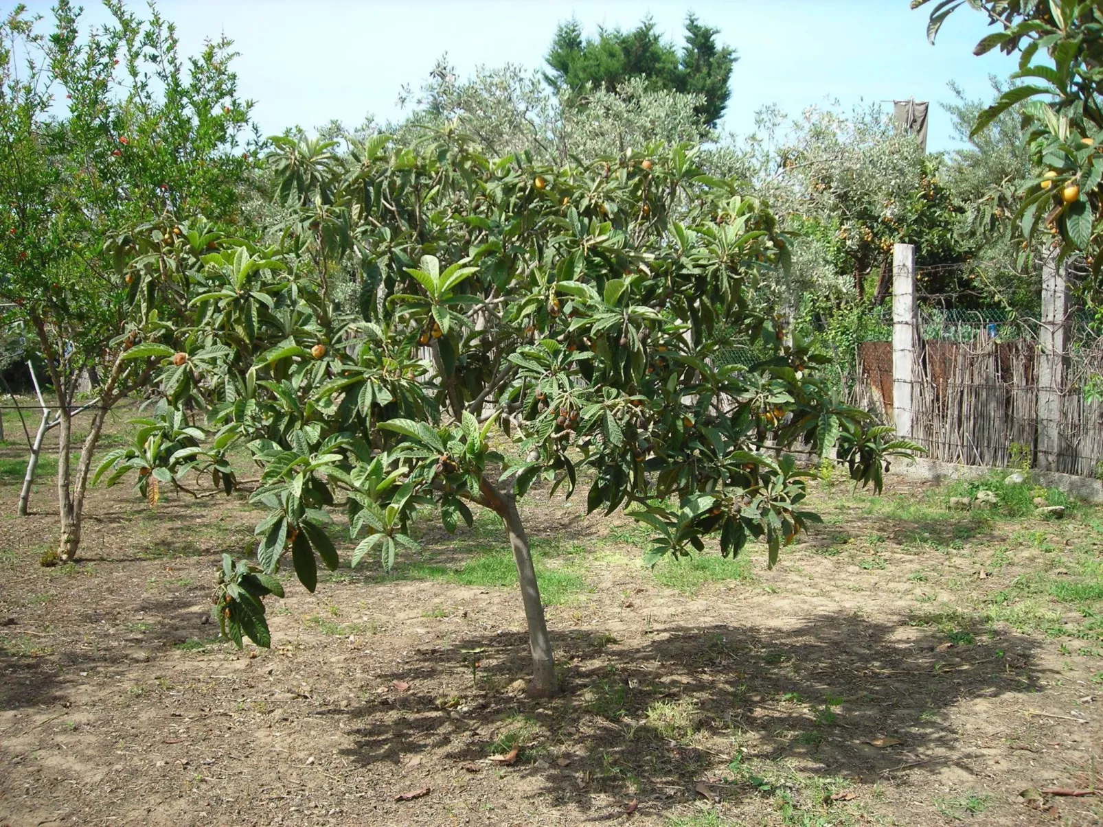 Direkt am Strand-Image-tags.info