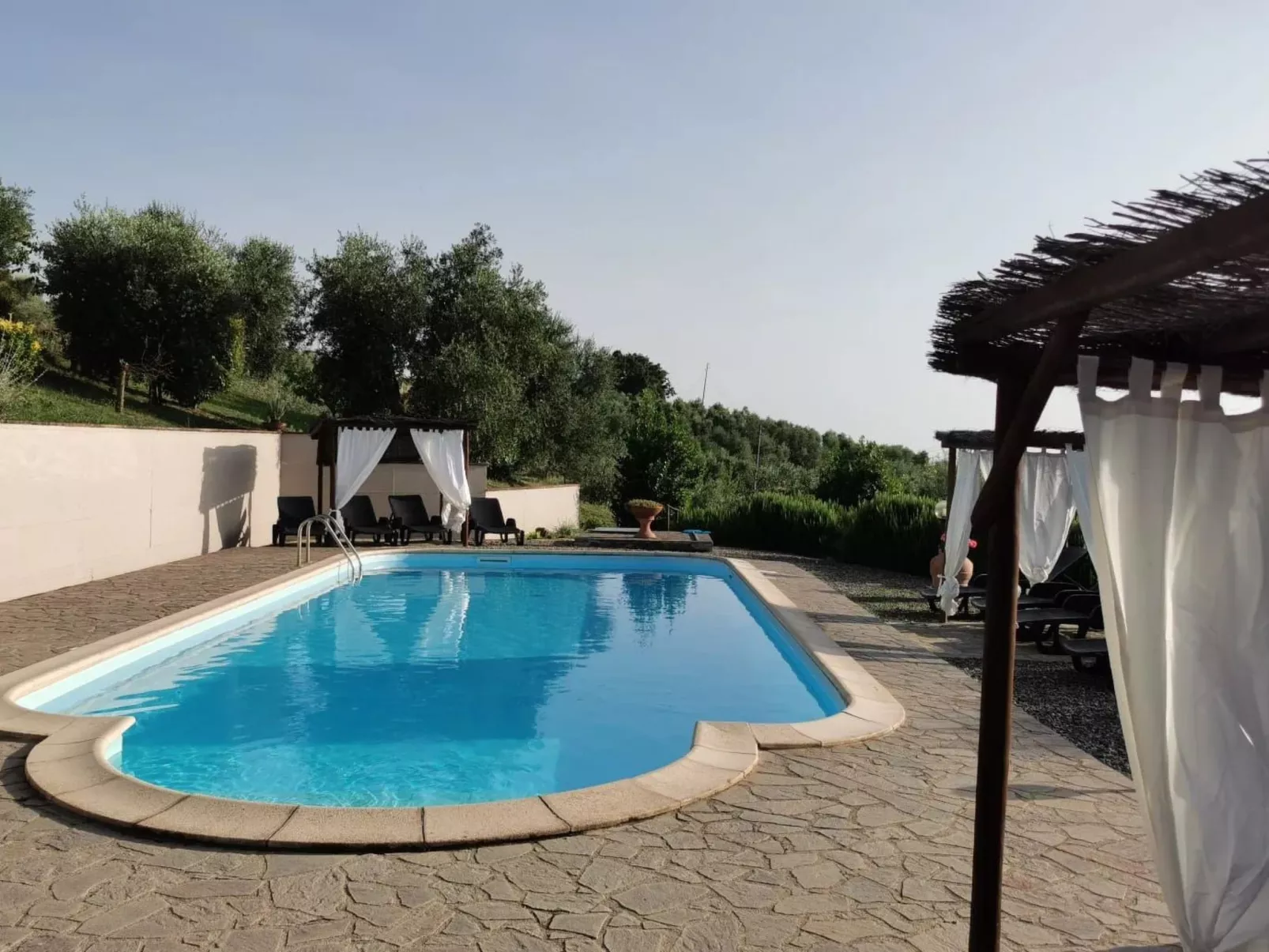 Vierblättriges Kleeblatt-Outside