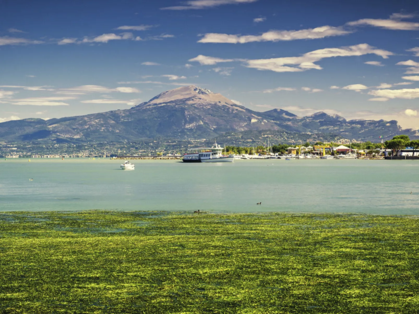 "Casa Natalia 2-Image-tags.info