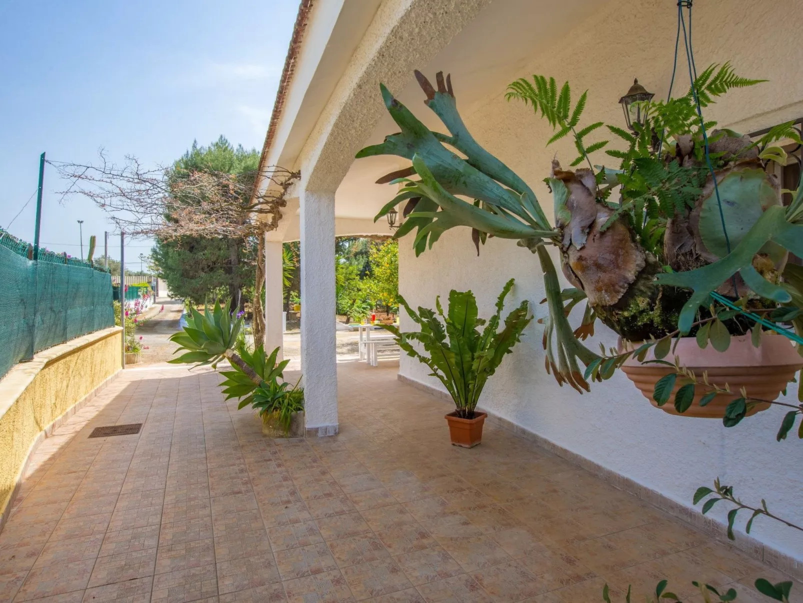 Villa Mediterranea - Image-tags.info