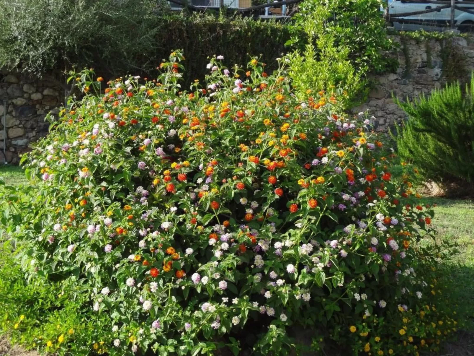 Agnese-Image-tags.info