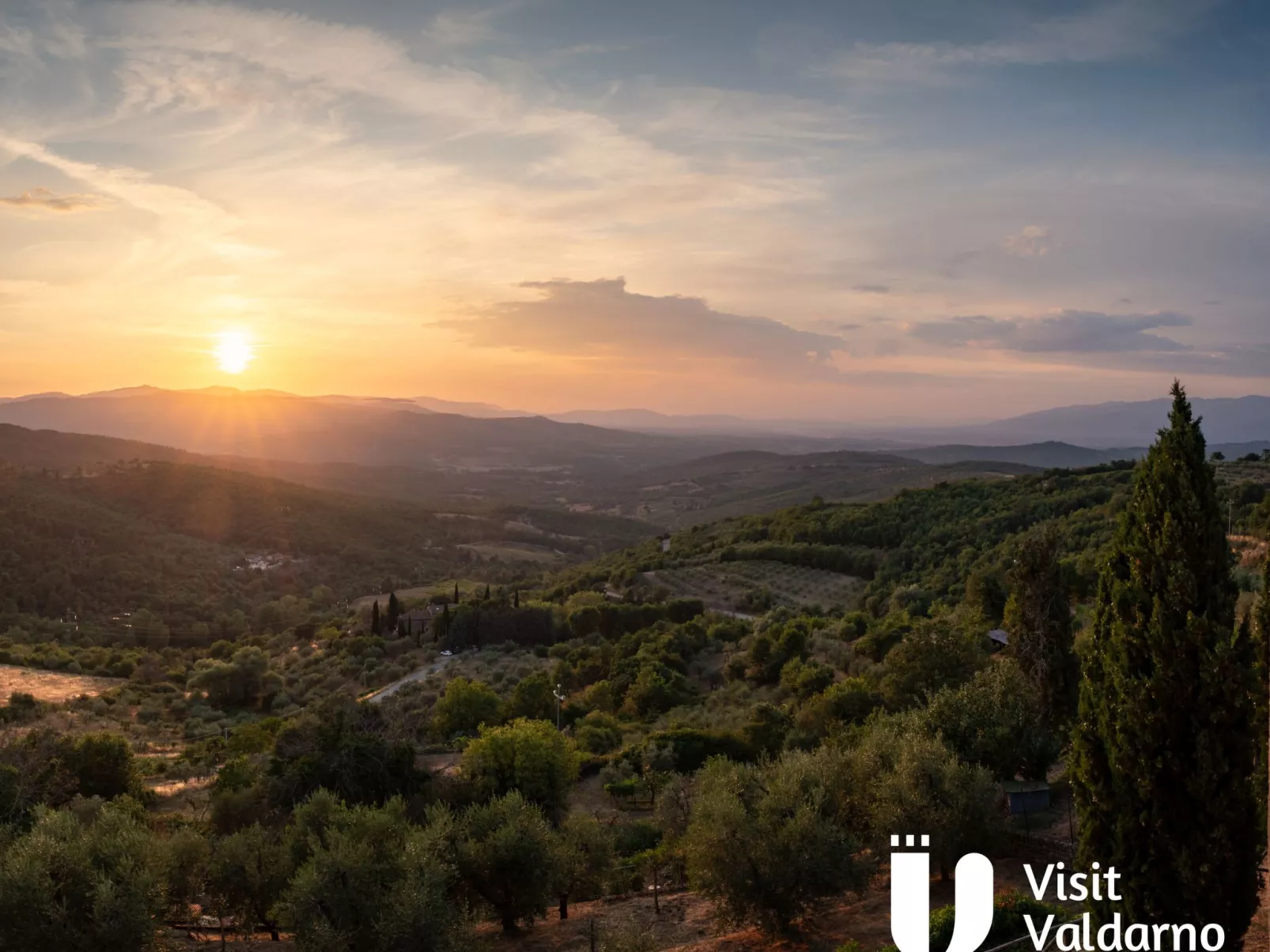 Flache Kornblume-Image-tags.info