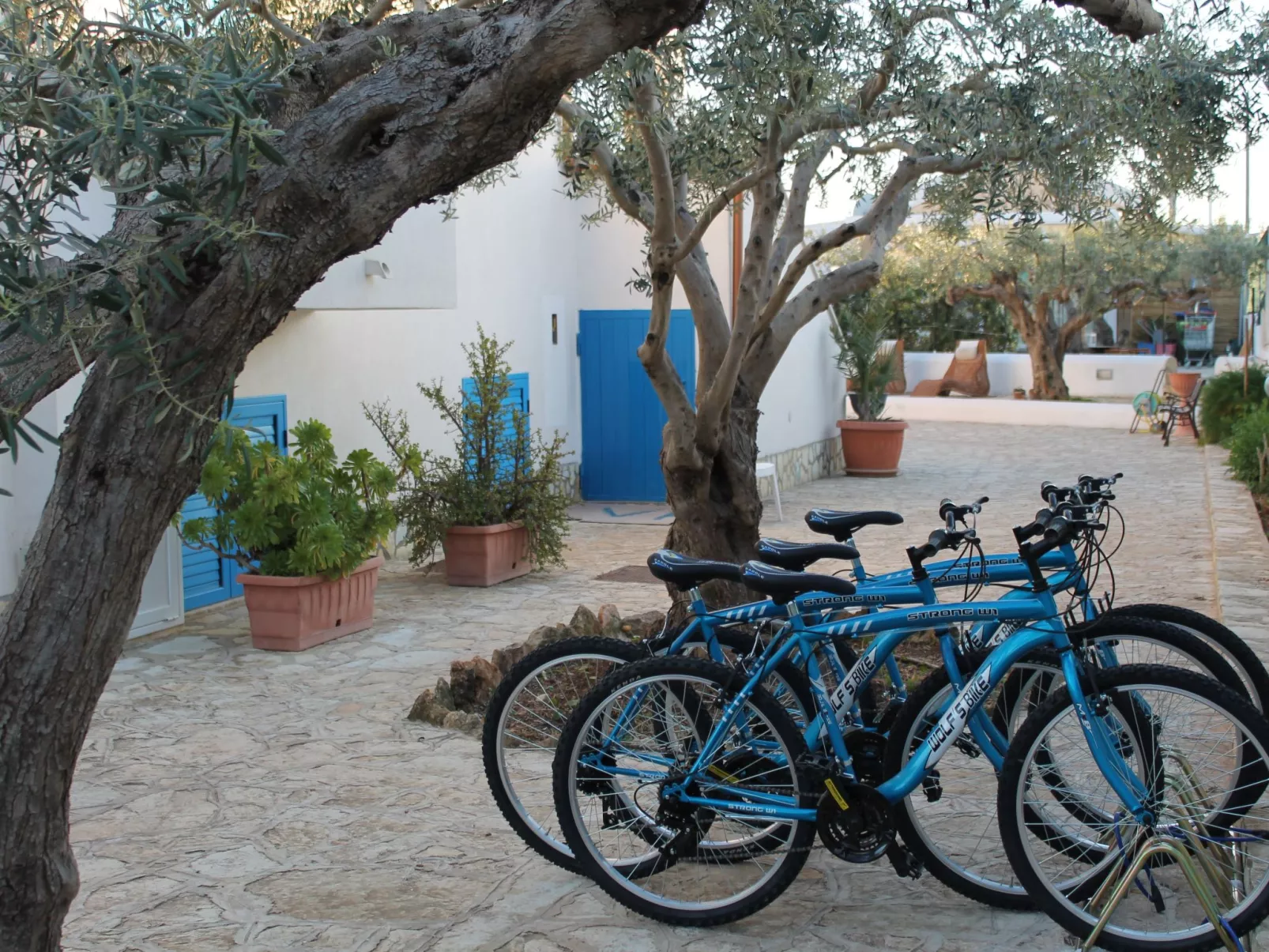 Signorino Resort Studio 4 pax-Outside