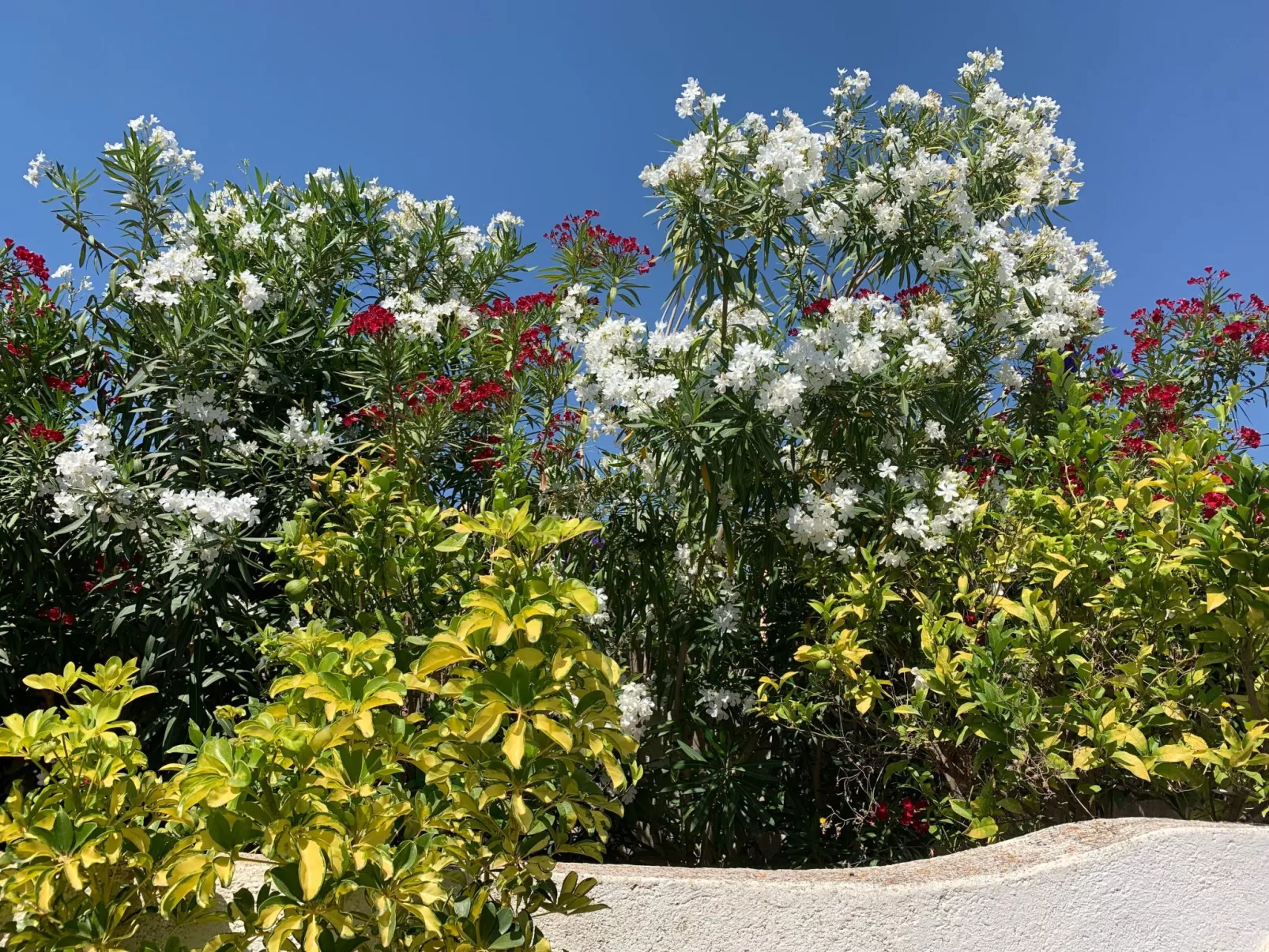 CASA  BENIMEIT-Draußen