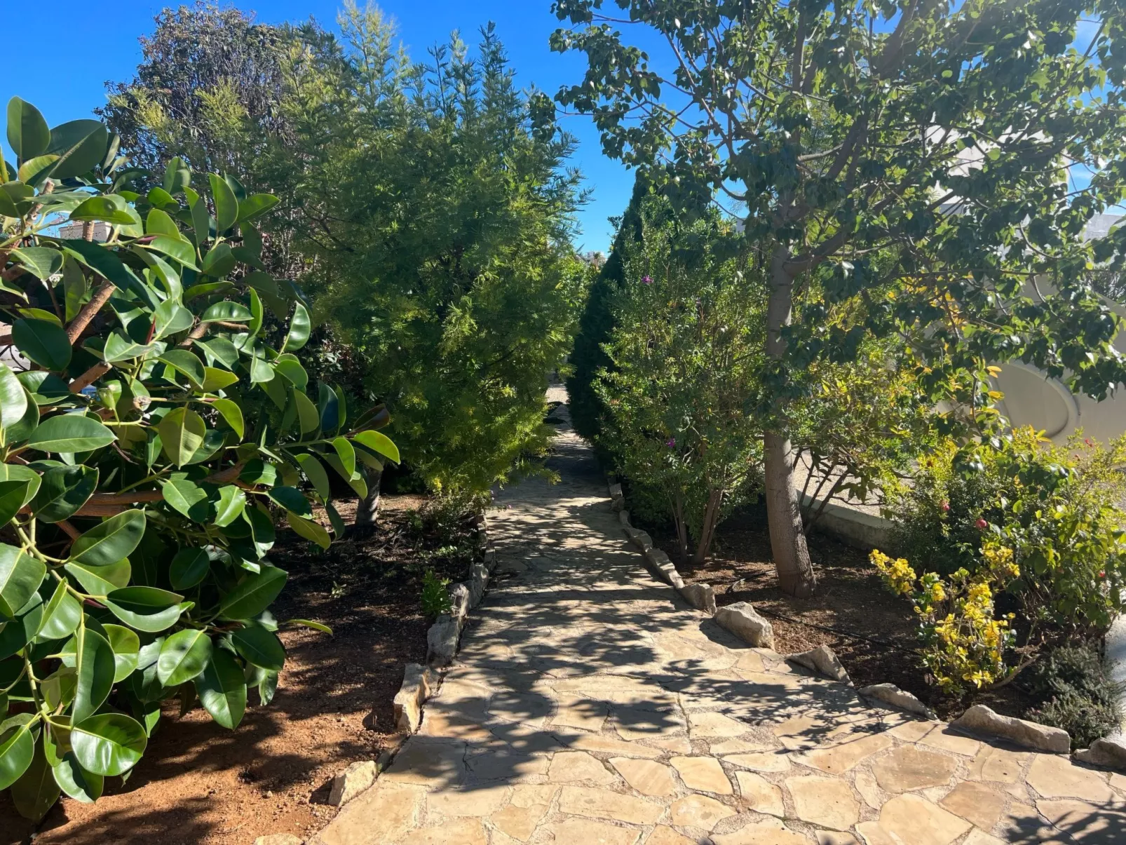 Schicker Bungalow in extrem ruhiger Lage und doch zentral gelegen-Outside