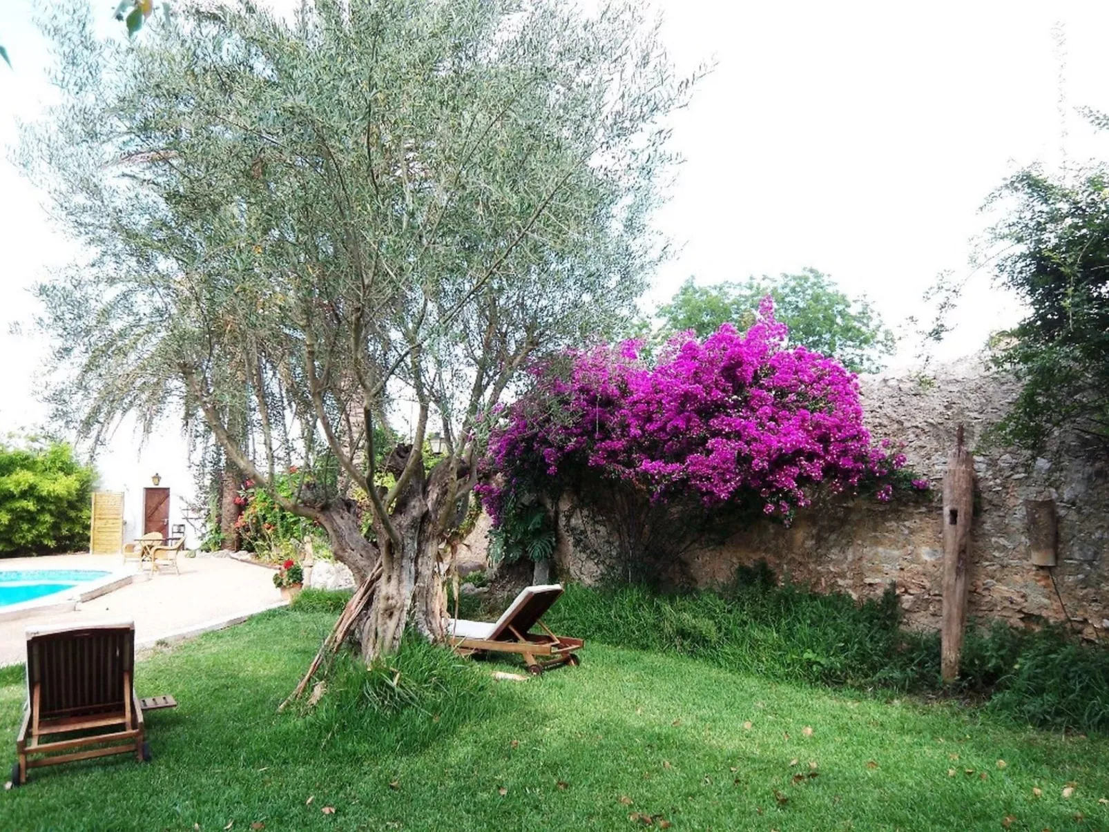 Garten Appartment-Outside