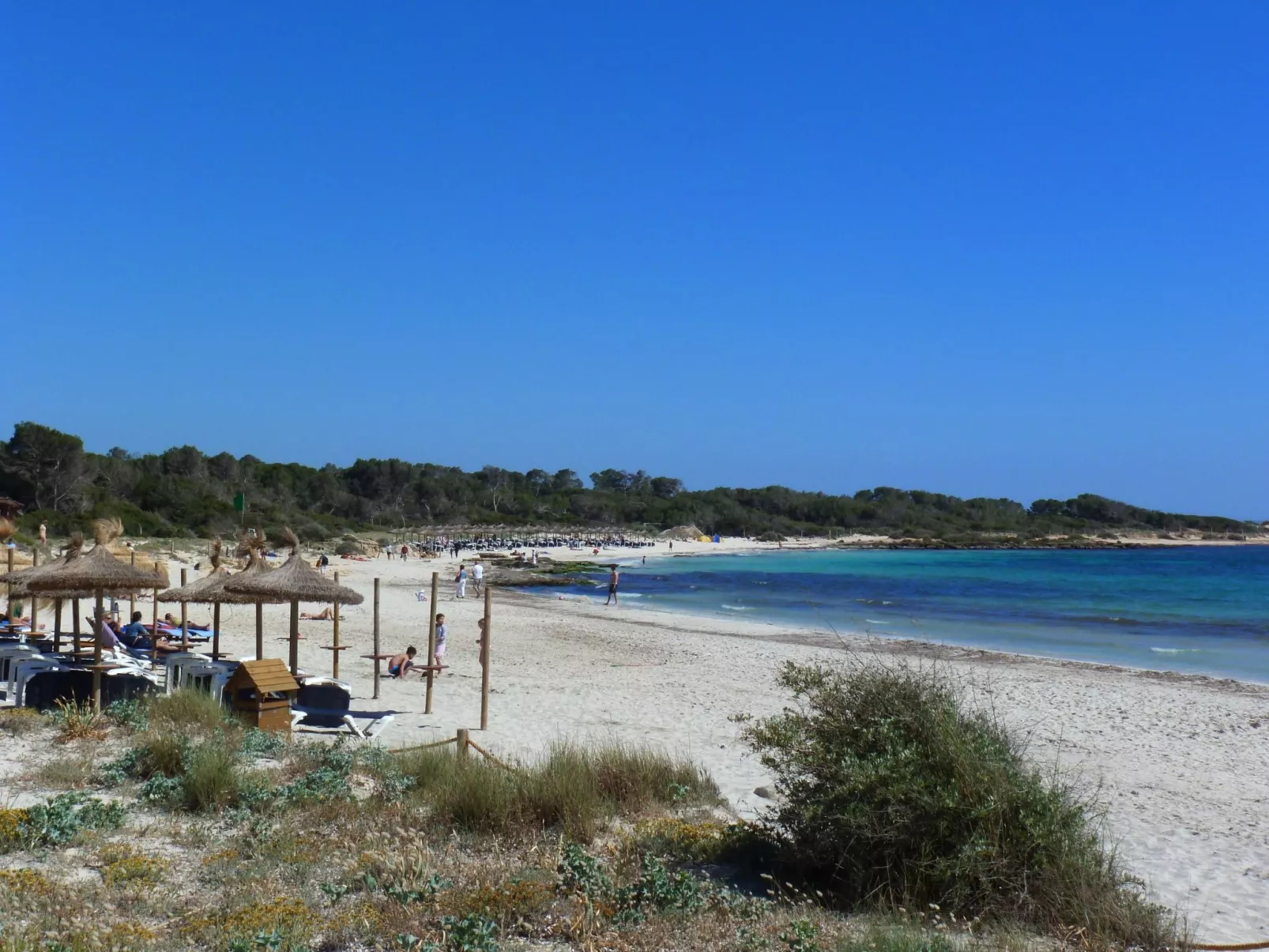 In Campos mit Privatem Pool-Image-tags.info