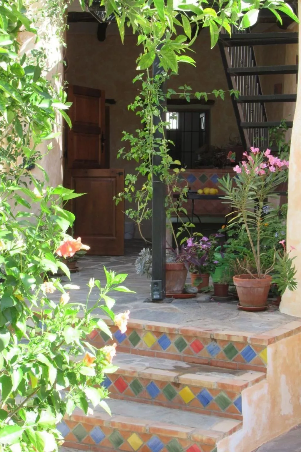 Eine Oase der Ruhe mitten in der Stadt-Dehors