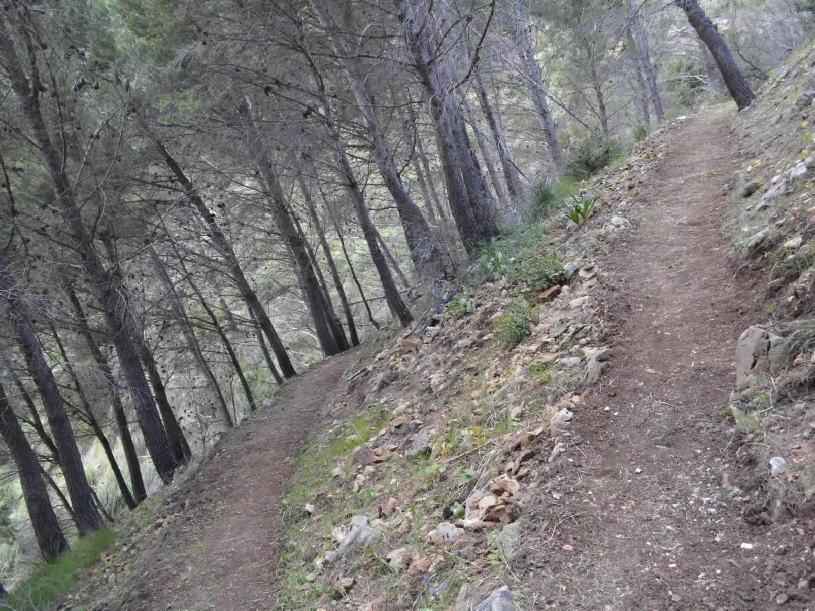 Mit Garten, Grill und Terrasse-Draußen