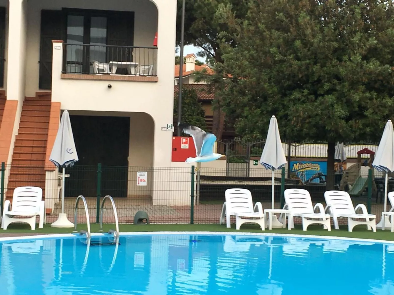 Michelangelo Suite Resort Dorado-Outside