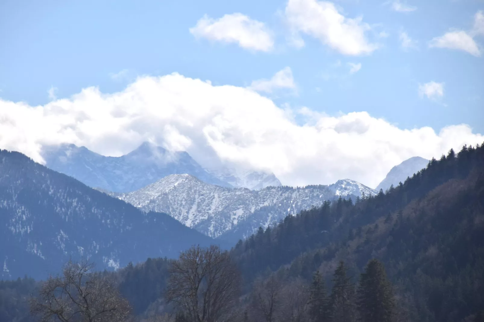 Ferienhaus Reichenbach HA-Areas summer 5km