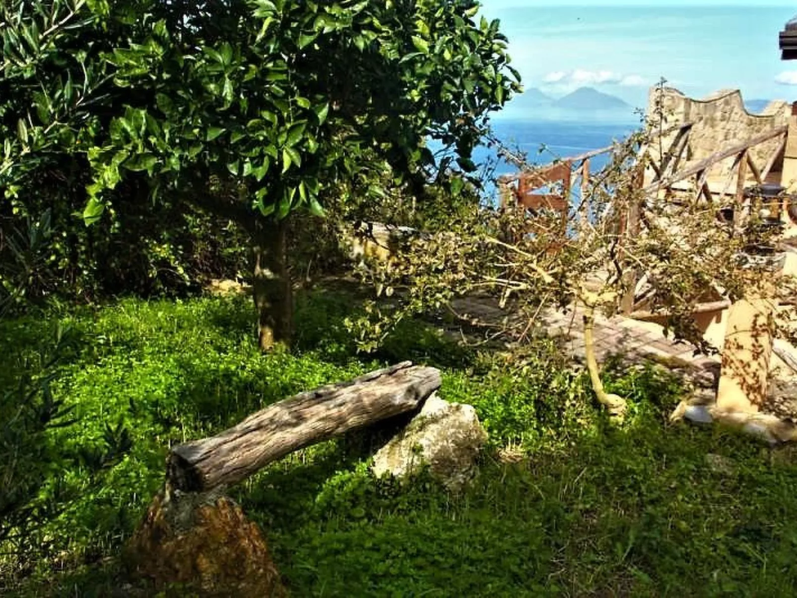 Flache Zeder-Image-tags.info