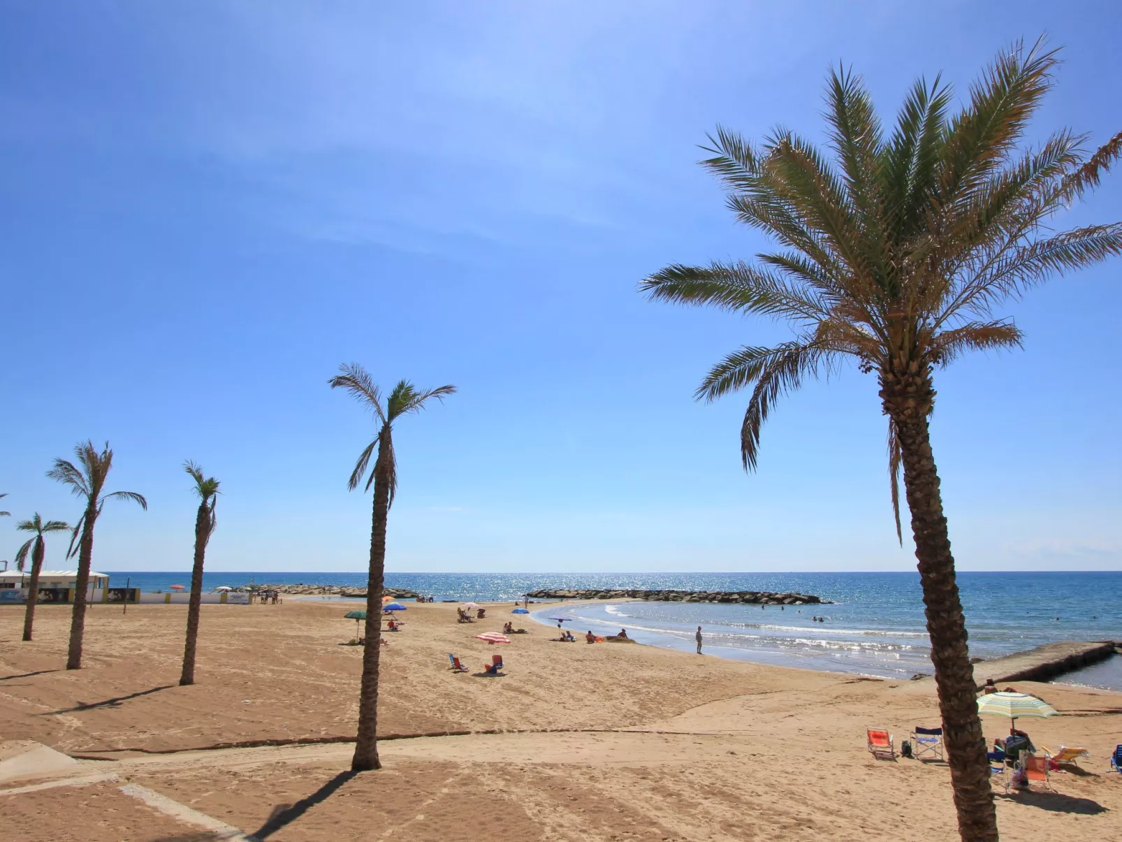 "Archimede"-Image-tags.info