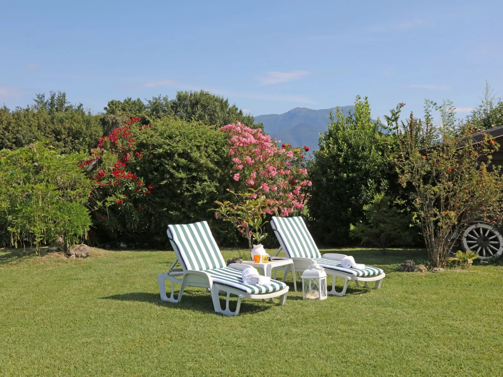 Inmitten von Blumen N.2-Dehors