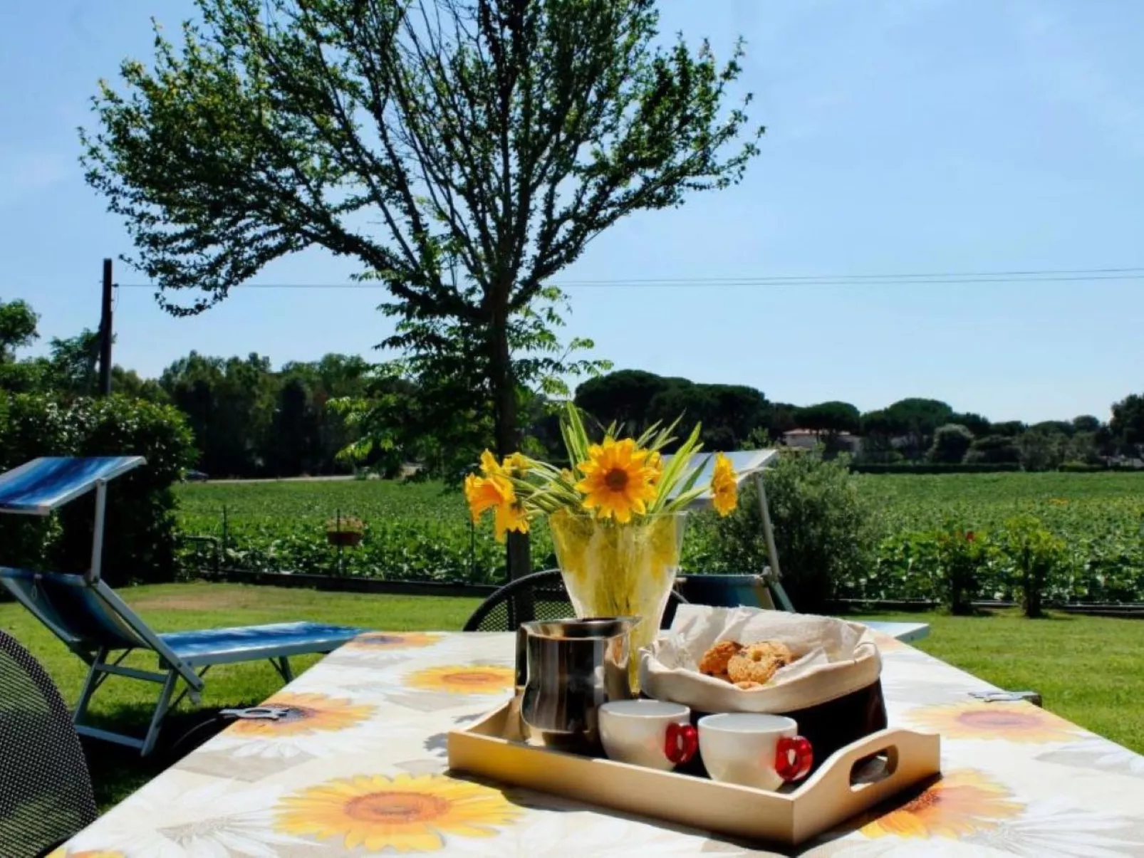 Wohnung il Comignolo-Outside