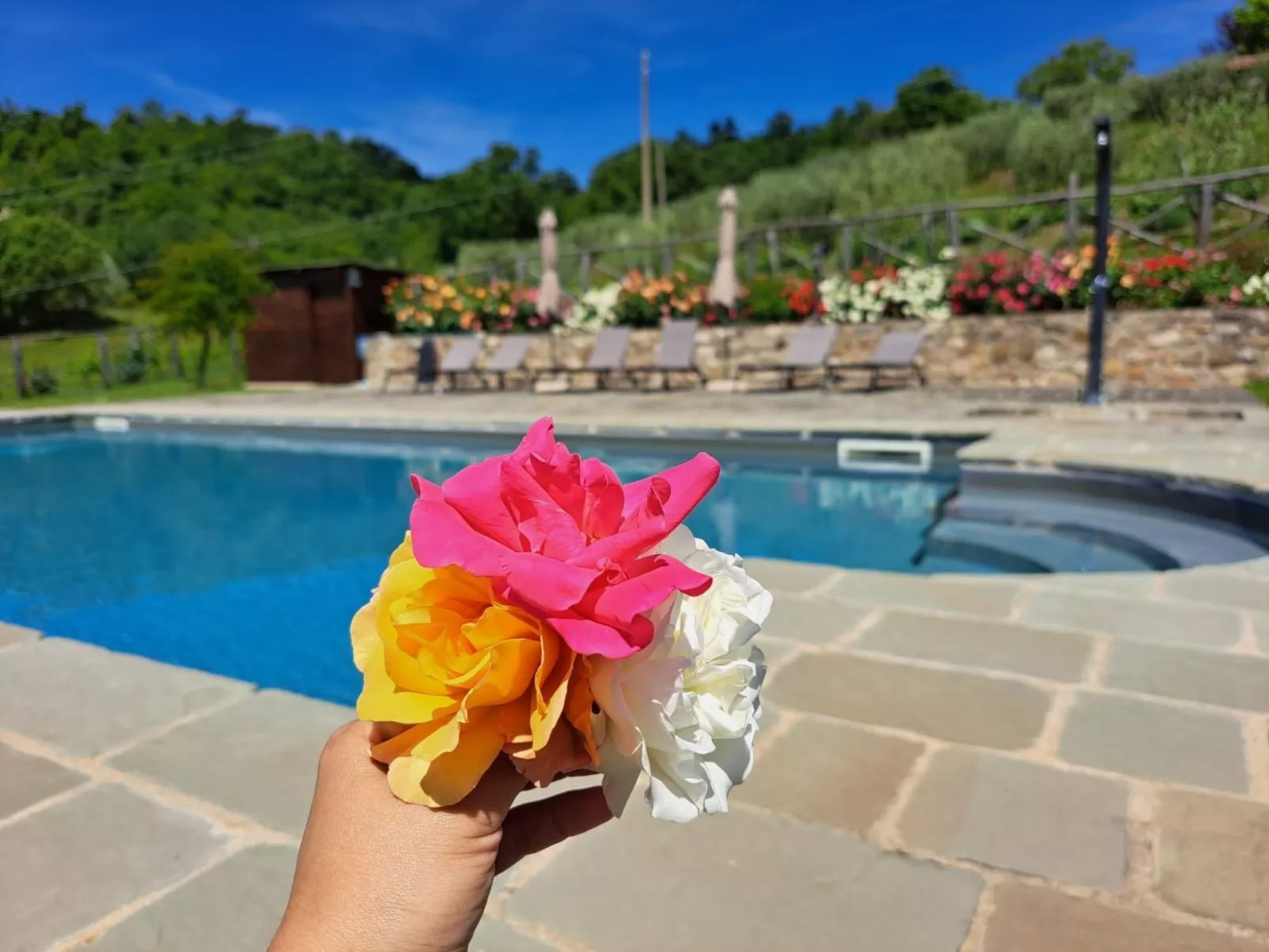 Agriturismo Poggio del Fabbro-Dehors